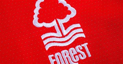 nottingham forest vs everton prediction